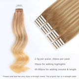 Remy Tape-In Hair Extension Balayage B#12/#613