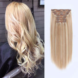Remy Clip In Hair Extensions 120G Highlights P12/60#
