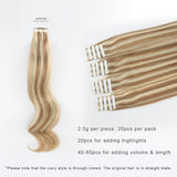Remy Tape-In Hair Extension P #10/#613 Golden Brown Highlights Beach Blonde