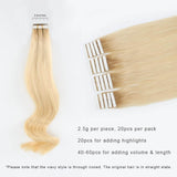 Remy Tape-In Hair Extension Rooted R#12/#60