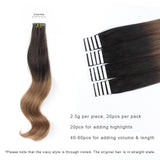 Remy Tape-In Hair Extension Ombre T#2/#6