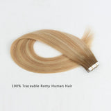 Remy Tape-In Hair Extension Rooted Highlights RP8-12/60