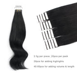 Remy Tape-In Hair Extension #1 Jet Black