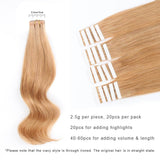 Remy Tape-In Hair Extension #27 Strawberry Blonde
