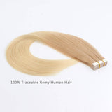Remy Tape-In Hair Extension T #12/#60 Golden Brown Ombre Ash Blonde